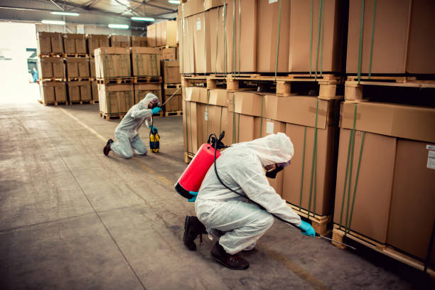 Best Best Pest Control Companies  in Brooklyn, IA