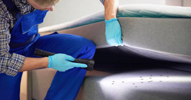 Best Pest Control Near Me  in Brooklyn, IA